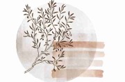 稀缺视角——黑料万里长征首页、黑料网入口、黑料网 - 及时热点追踪锦集