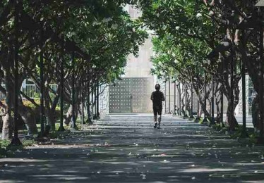 图解版：糖心tv社区热议速览